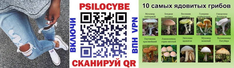 Купить  Демидов  Галлюциногенные грибы Cubensis 